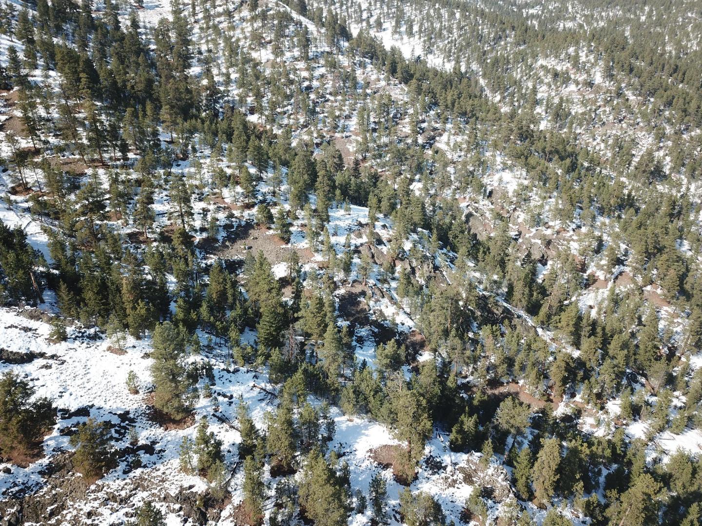 DJI_0391