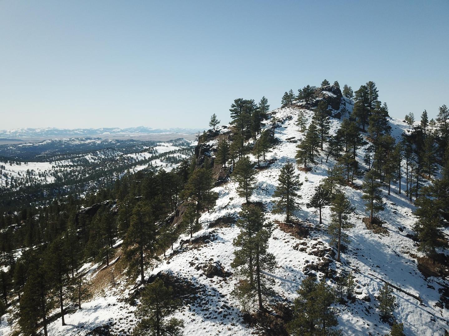DJI_0397