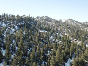 DJI_0401