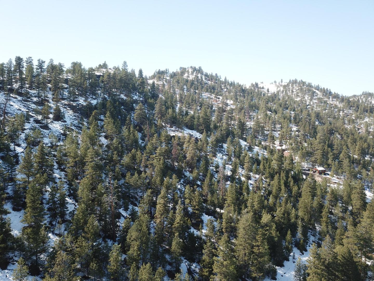 DJI_0401