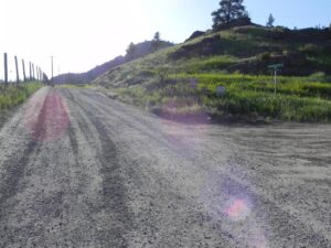DSCN8081