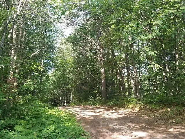 2b95063a50cd6ef15906cf9db815bade-uncropped_scaled_within_1536_1152