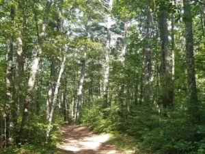 4aec60c7c27fc1e372ef8bd2d0c7c032-uncropped_scaled_within_1536_1152