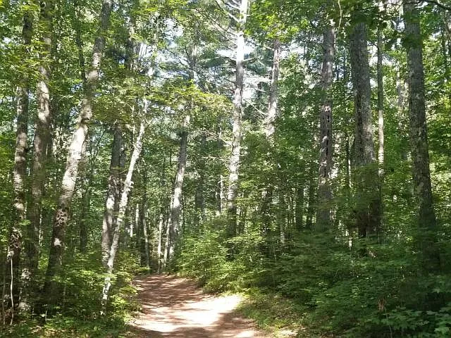 4aec60c7c27fc1e372ef8bd2d0c7c032-uncropped_scaled_within_1536_1152