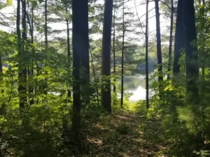 8d8ad7db25fb11142764891623ffb9a9-uncropped_scaled_within_1536_1152