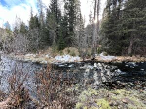 IMG_0993