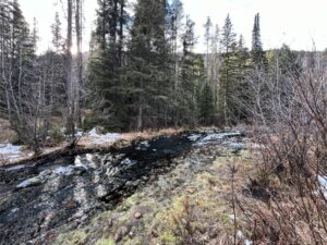IMG_0995