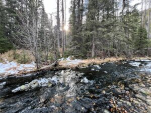 IMG_1002