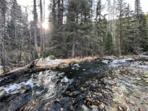 IMG_1003