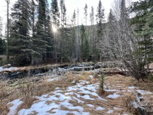 IMG_1011