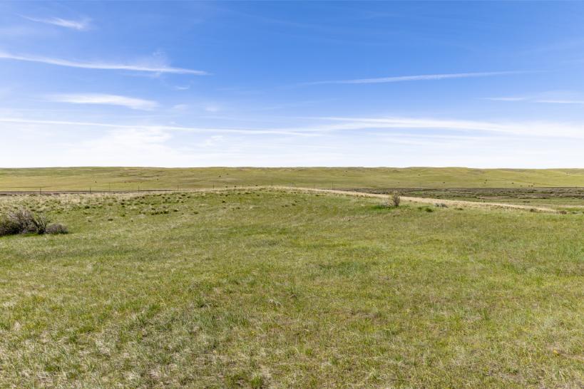 Wilco Bighorn Hilder-15