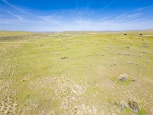 Wilco Bighorn Hilder Drone-10