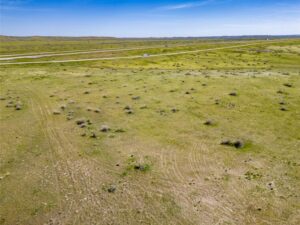 Wilco Bighorn Hilder Drone-12