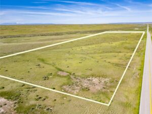 Wilco Bighorn Hilder Drone-16