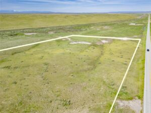 Wilco Bighorn Hilder Drone-18