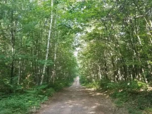 b73a476117a2898d8b08bf032ad12c0f-uncropped_scaled_within_1536_1152