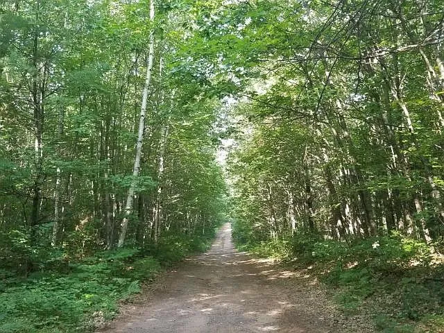 b73a476117a2898d8b08bf032ad12c0f-uncropped_scaled_within_1536_1152