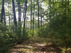 bc79f9ce2d5227136f97927544a98ae1-uncropped_scaled_within_1536_1152