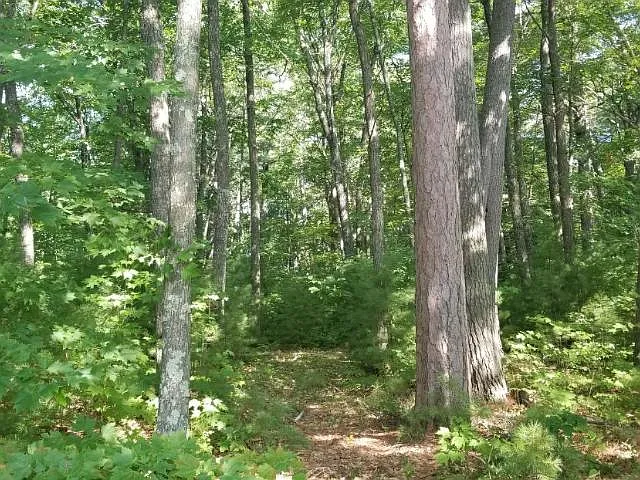 c87bf37fdf0379ef1cf6759bc6980280-uncropped_scaled_within_1536_1152