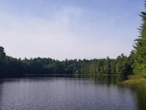 cbb28bcd3d94a979d7cf0a8351160528-uncropped_scaled_within_1536_1152