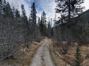 dji_fly_20231121_120652_1_1700593627591_photo