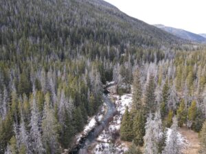 dji_fly_20231121_120748_3_1700593678287_photo