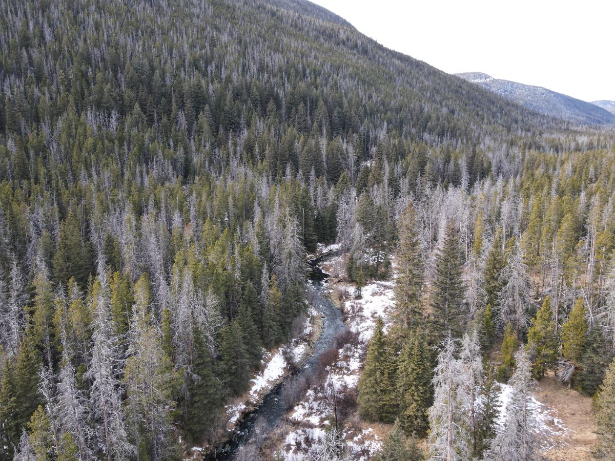 dji_fly_20231121_120748_3_1700593678287_photo