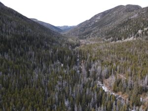 dji_fly_20231121_120812_4_1700593706769_photo