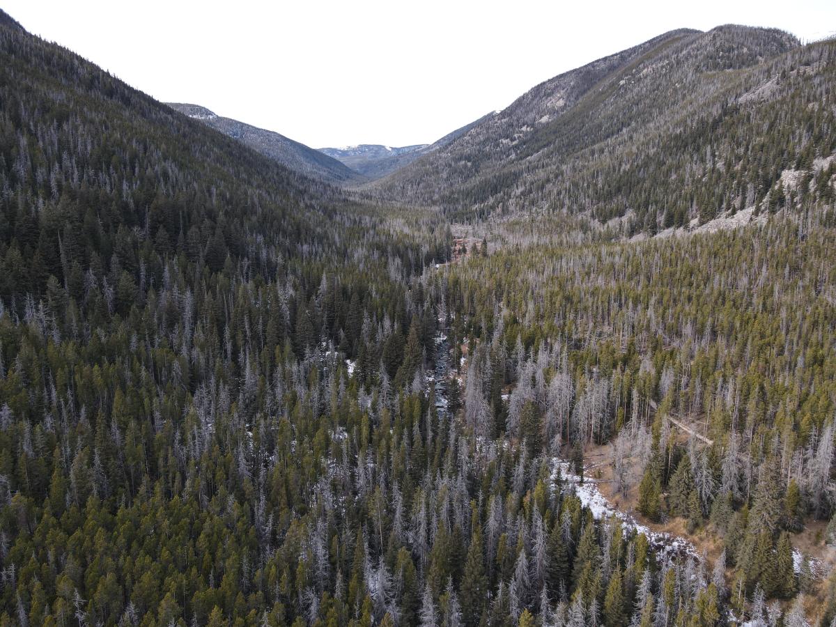 dji_fly_20231121_120812_4_1700593706769_photo