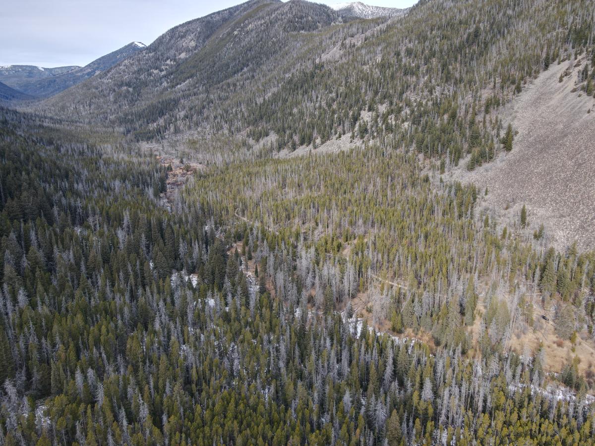 dji_fly_20231121_120842_6_1700593736267_photo