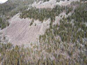 dji_fly_20231121_120910_9_1700593767711_photo