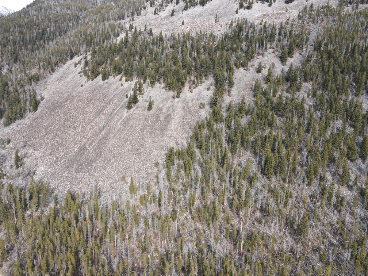 dji_fly_20231121_120910_9_1700593767711_photo