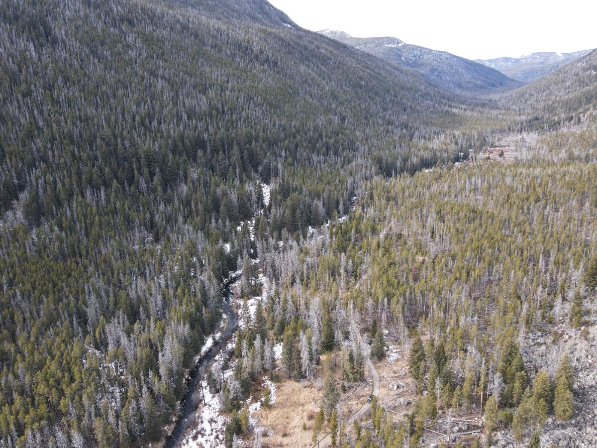 dji_fly_20231121_120940_11_1700593791102_photo