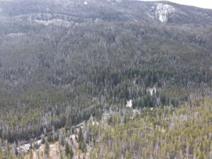 dji_fly_20231121_121002_13_1700593817164_photo