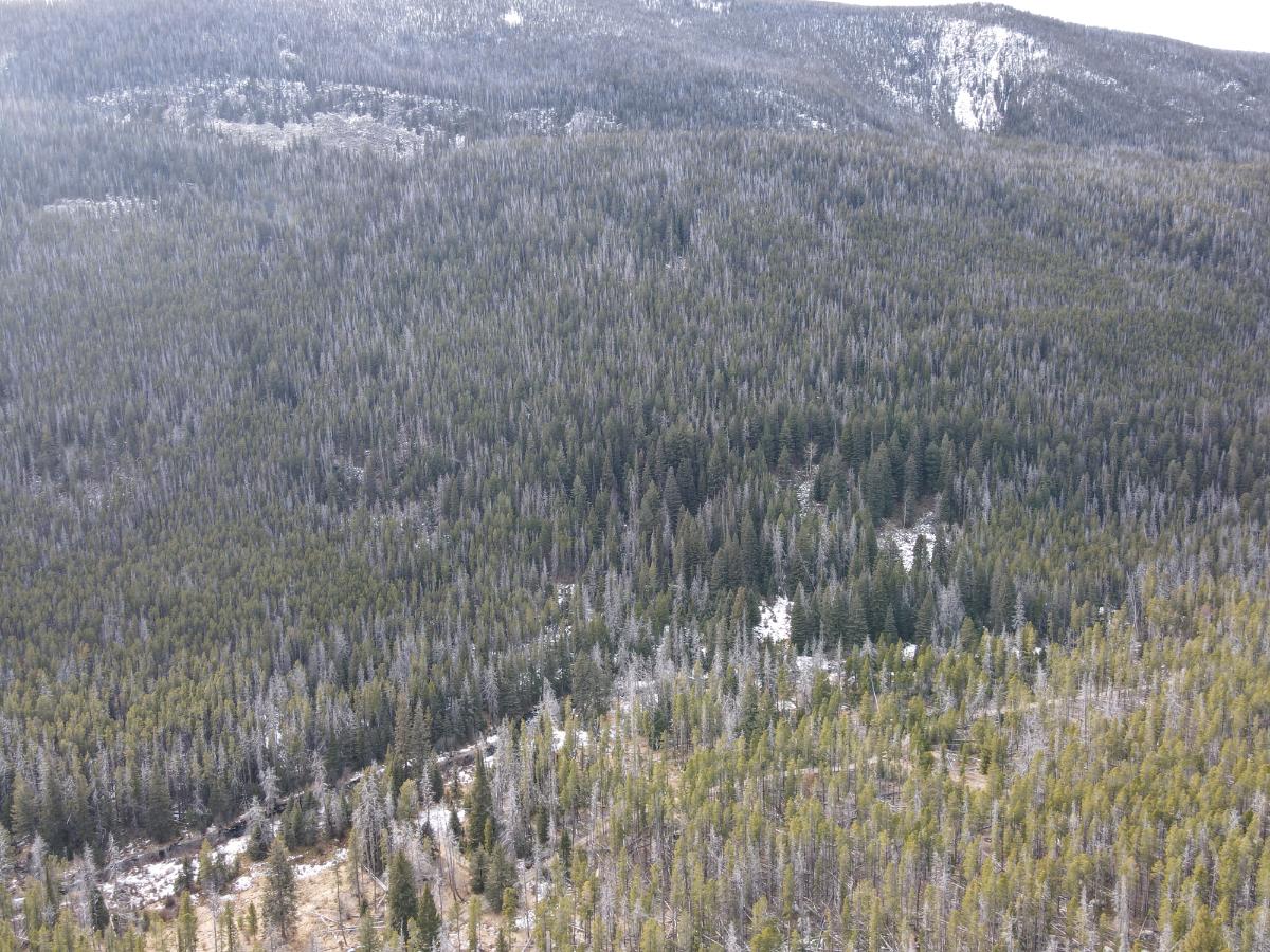 dji_fly_20231121_121002_13_1700593817164_photo