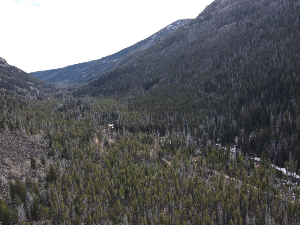 dji_fly_20231121_121028_14_1700593857545_photo