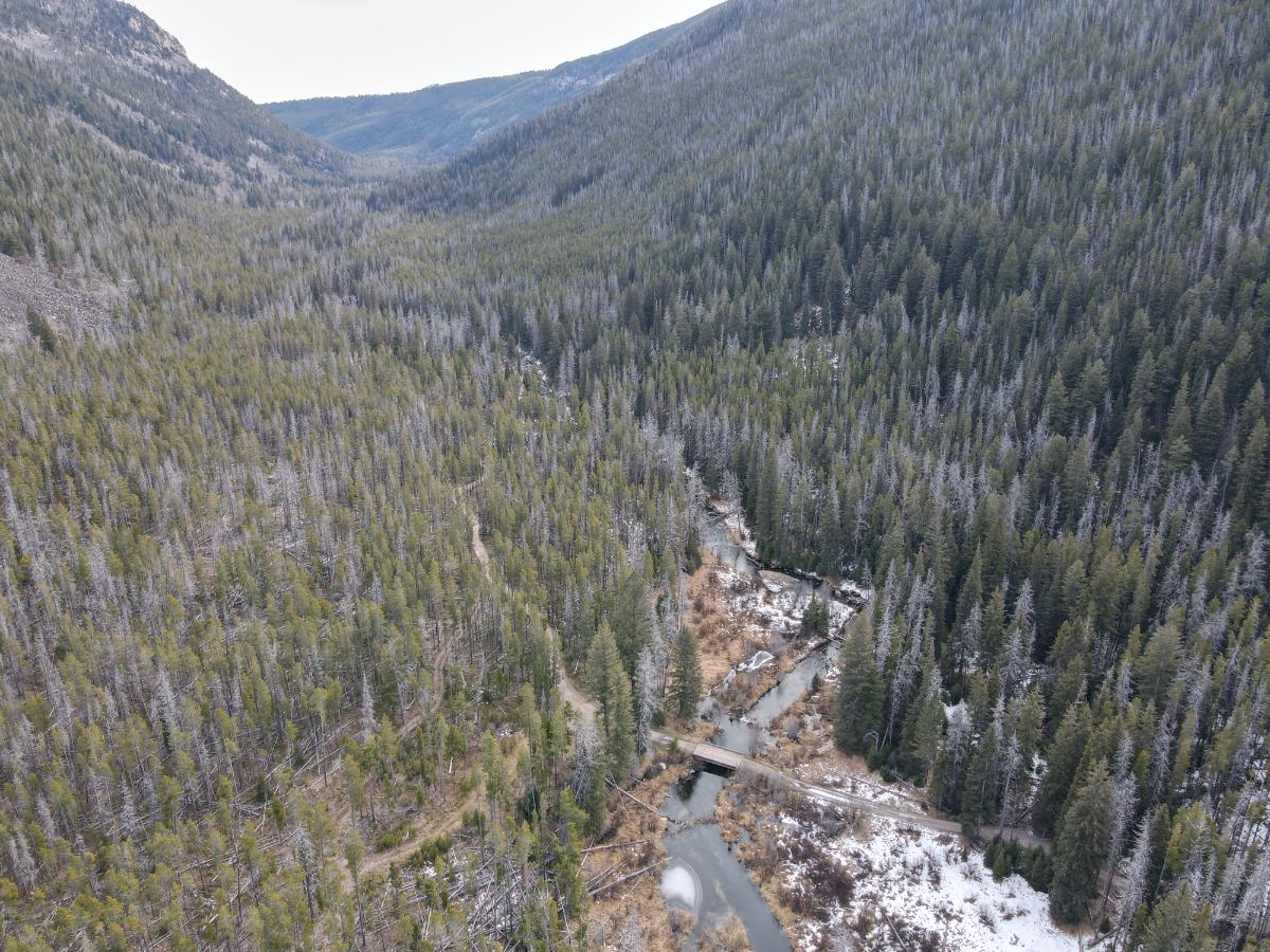 dji_fly_20231121_121100_16_1700593984050_photo