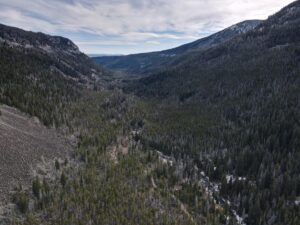 dji_fly_20231121_121754_23_1700594294731_photo