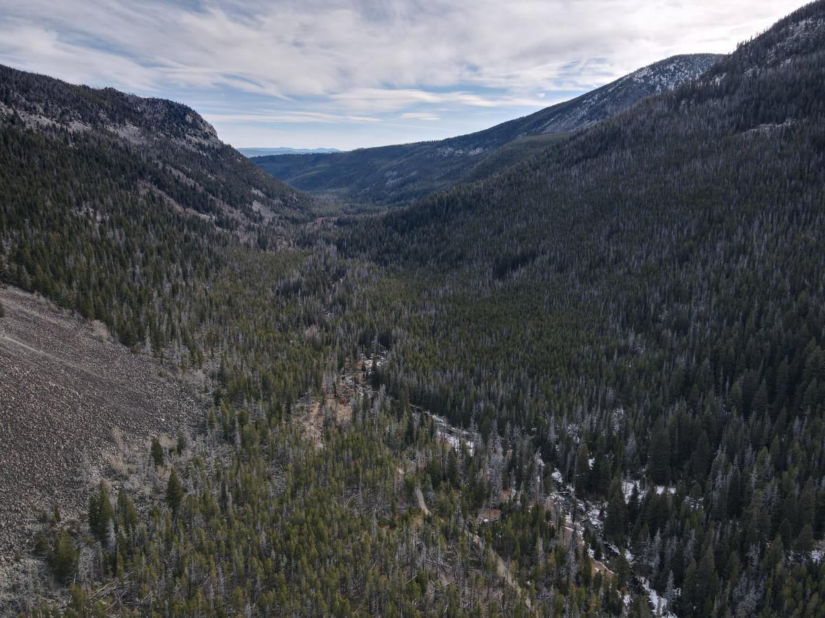 dji_fly_20231121_121754_23_1700594294731_photo