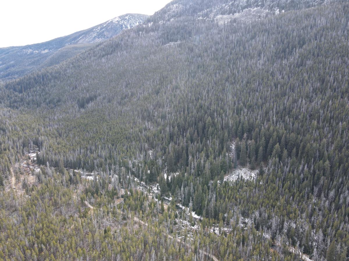 dji_fly_20231121_121804_24_1700594302076_photo