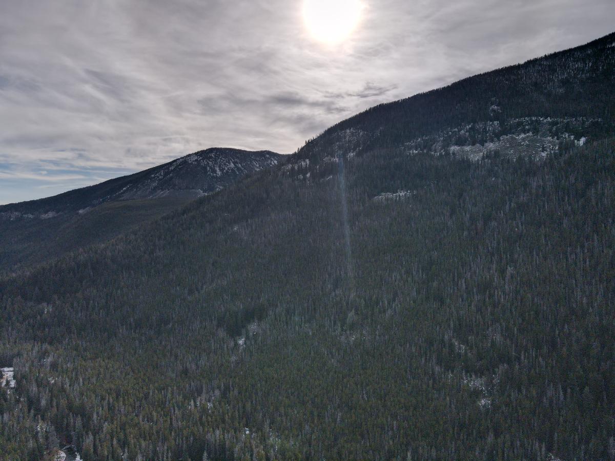 dji_fly_20231121_122040_27_1700594452868_photo