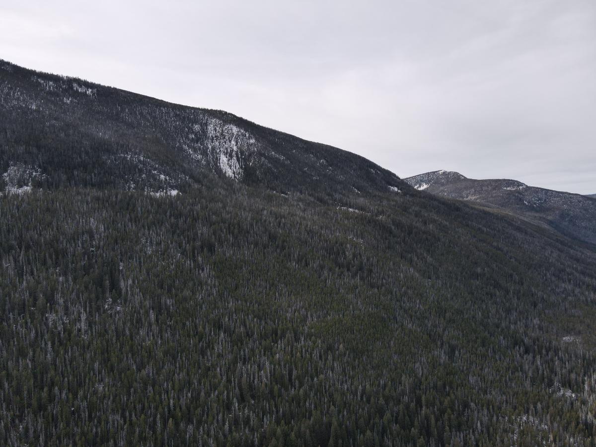 dji_fly_20231121_122256_33_1700594605161_photo