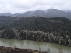 dji_fly_20240121_161836_74_1705882745769_photo