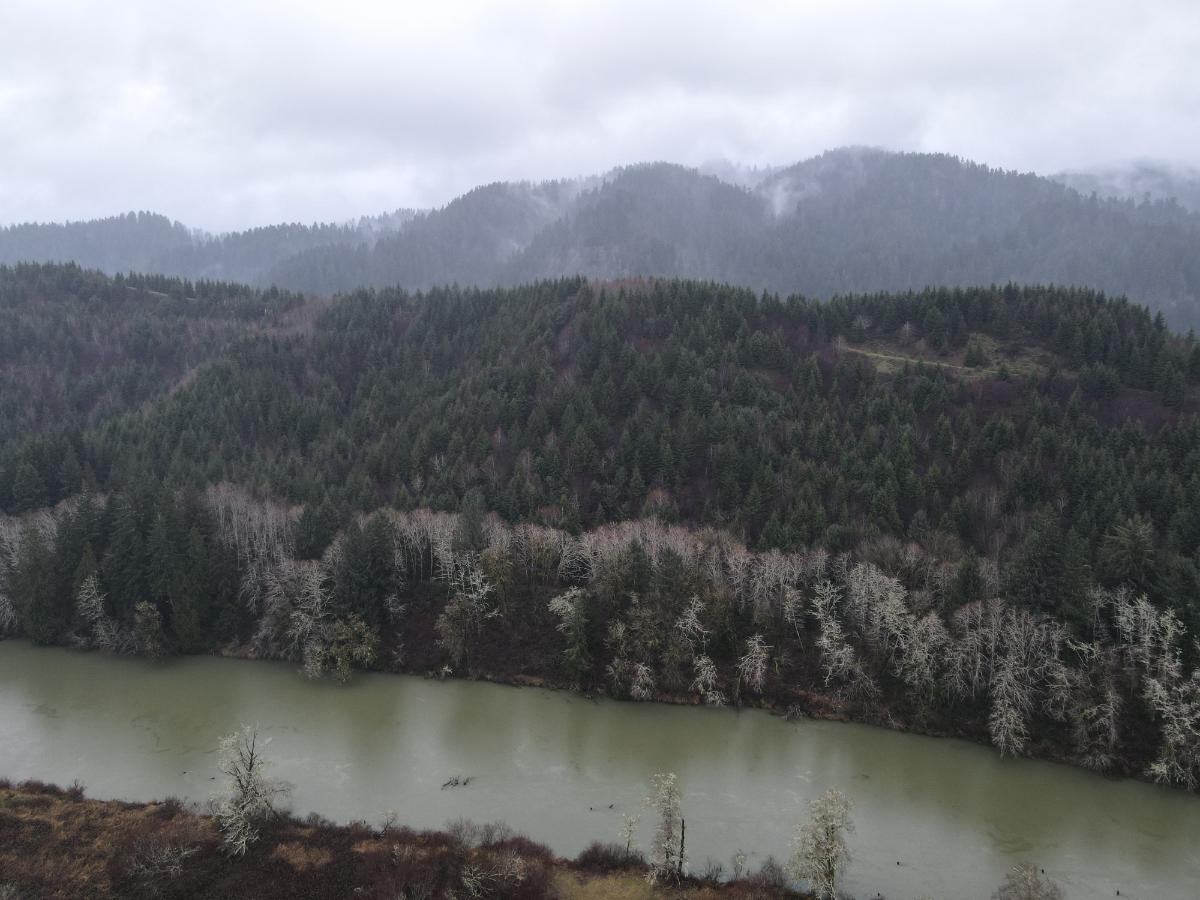 dji_fly_20240121_161836_74_1705882745769_photo