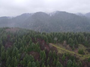 dji_fly_20240121_161902_75_1705882759065_photo