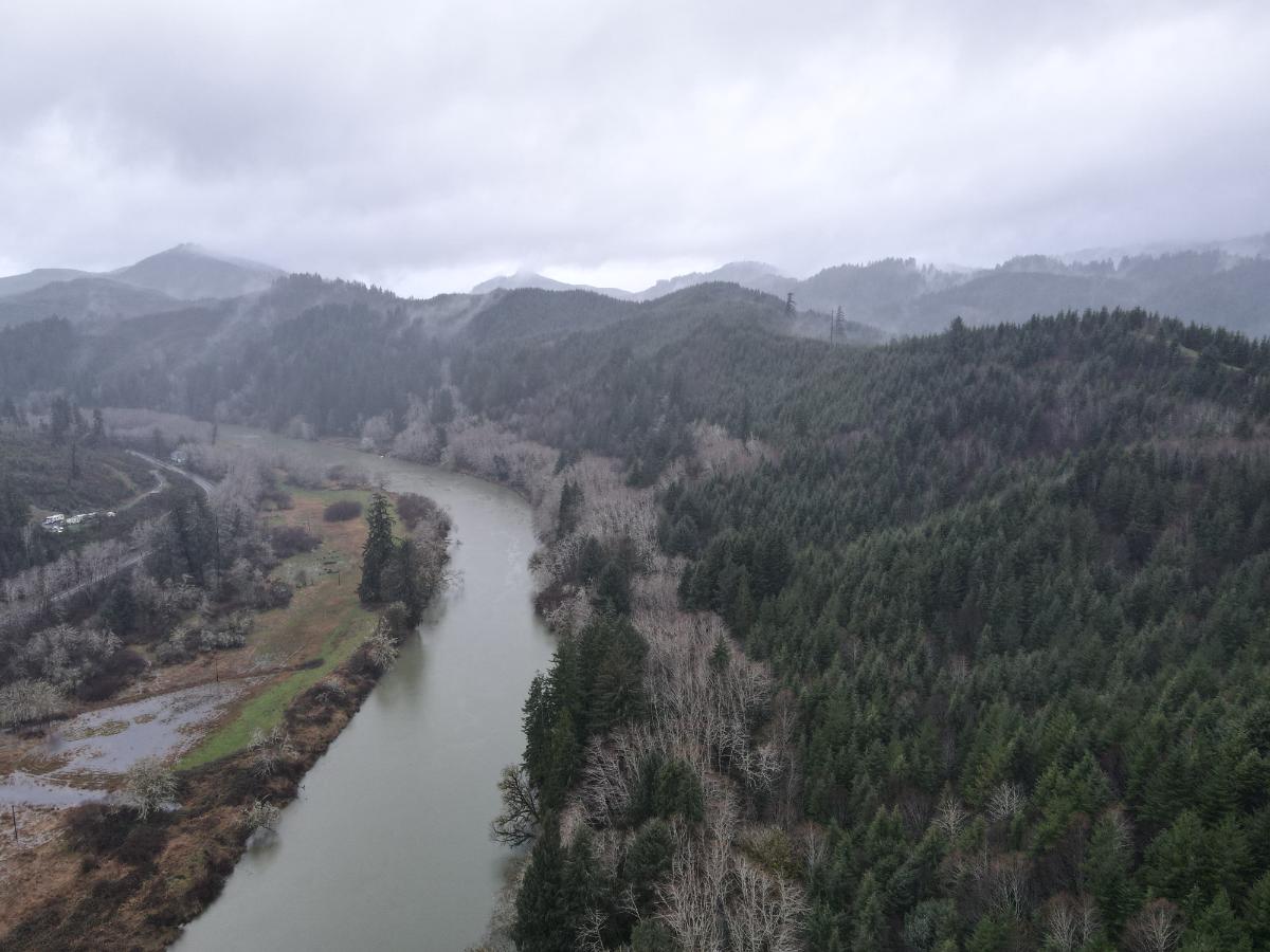 dji_fly_20240121_161908_76_1705882769239_photo