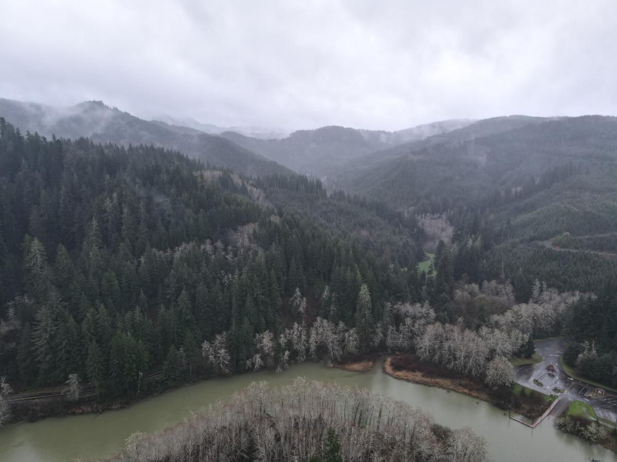 dji_fly_20240121_162012_82_1705882838877_photo