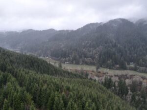 dji_fly_20240121_162018_84_1705882850134_photo