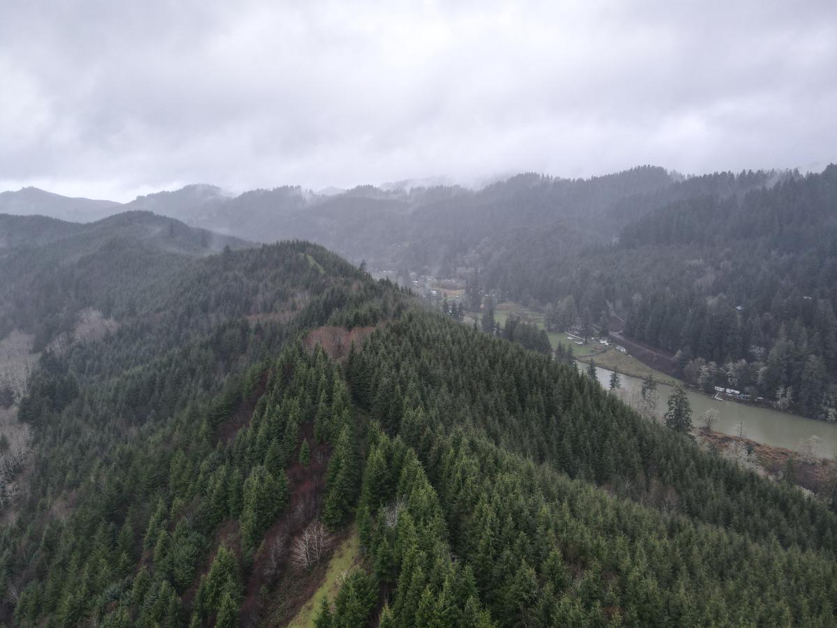 dji_fly_20240121_162026_85_1705882853710_photo