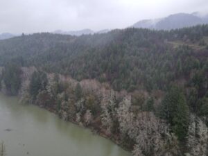 dji_fly_20240121_162528_93_1705883141874_photo